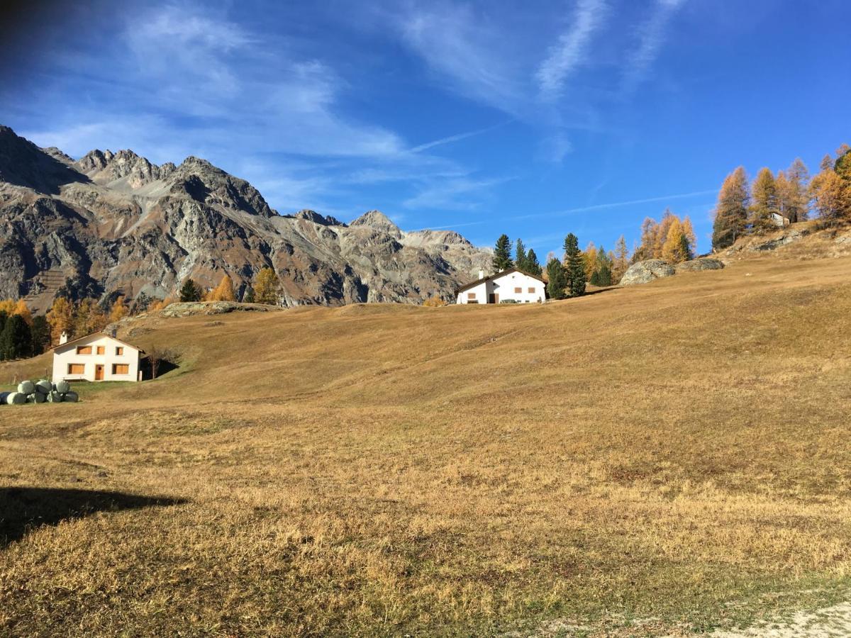 Chesa Viletta La Punt-Chamues-ch Eksteriør bilde
